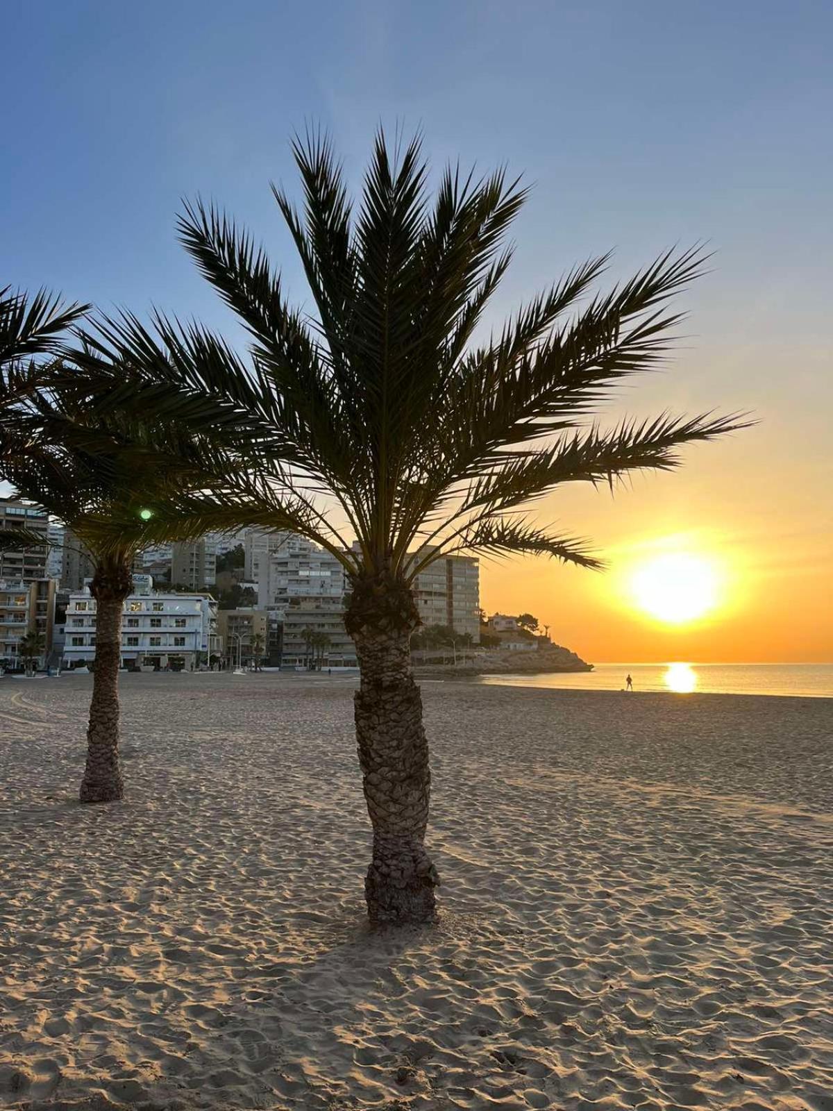 Apartment Niagara La Cala Benidorm